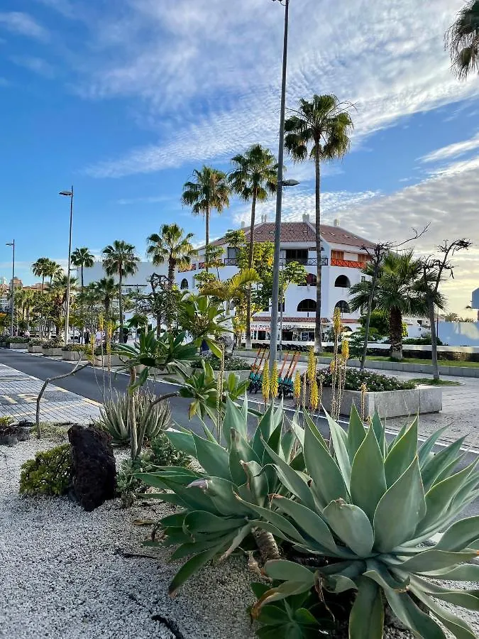 Appartamento El Dorado Estrella Playa de las Americas   Playa de las Americas (Tenerife)